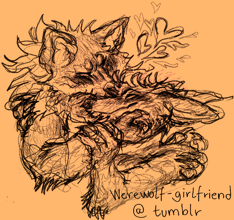 Digital sketch of a wolf and fox fursona cuddling sweetly. They are drawn in a scribbly style on a peachy-orange-colored background.